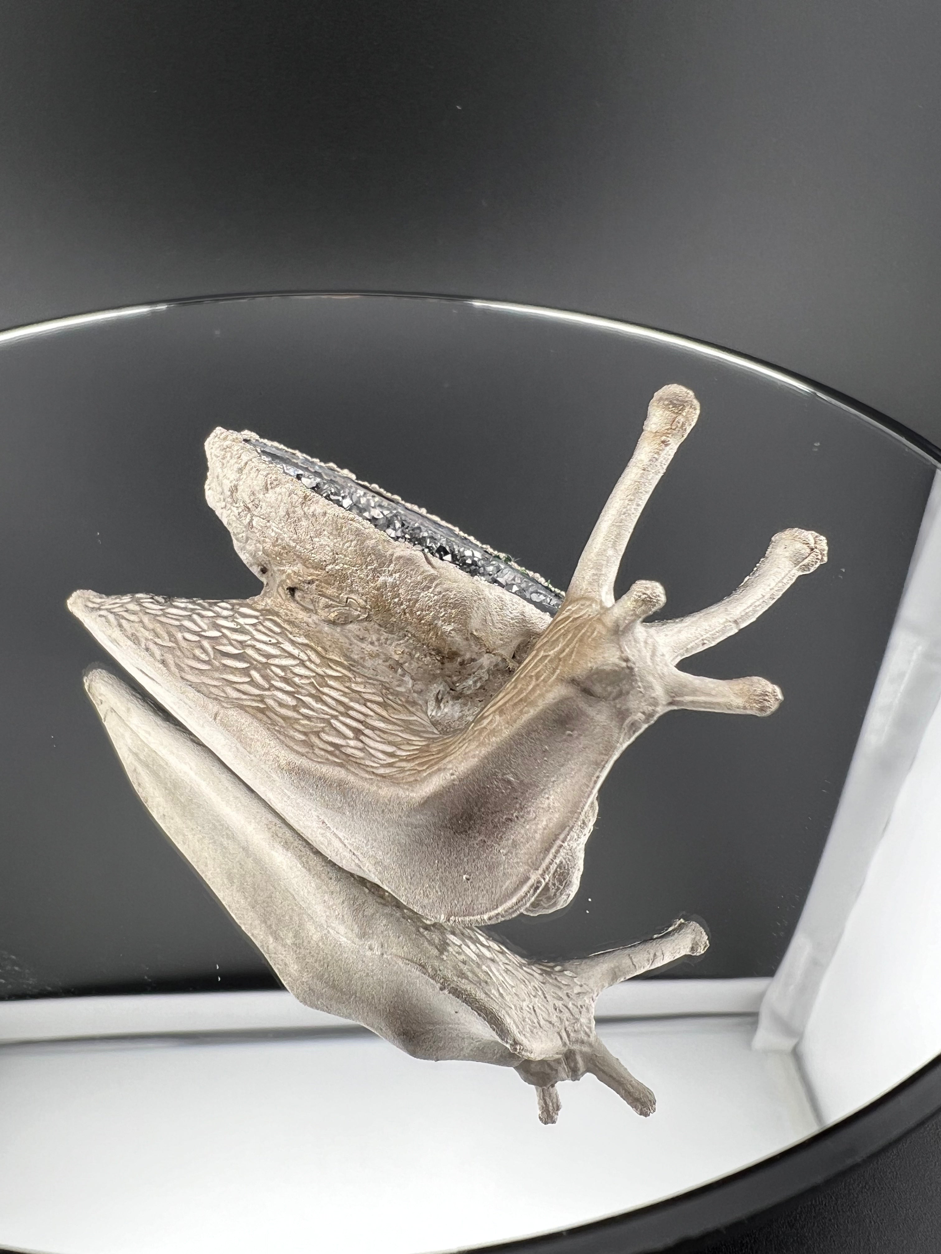 Snail With Shell As Silver Aura Geode Copper Electroformed Nickel Finished
