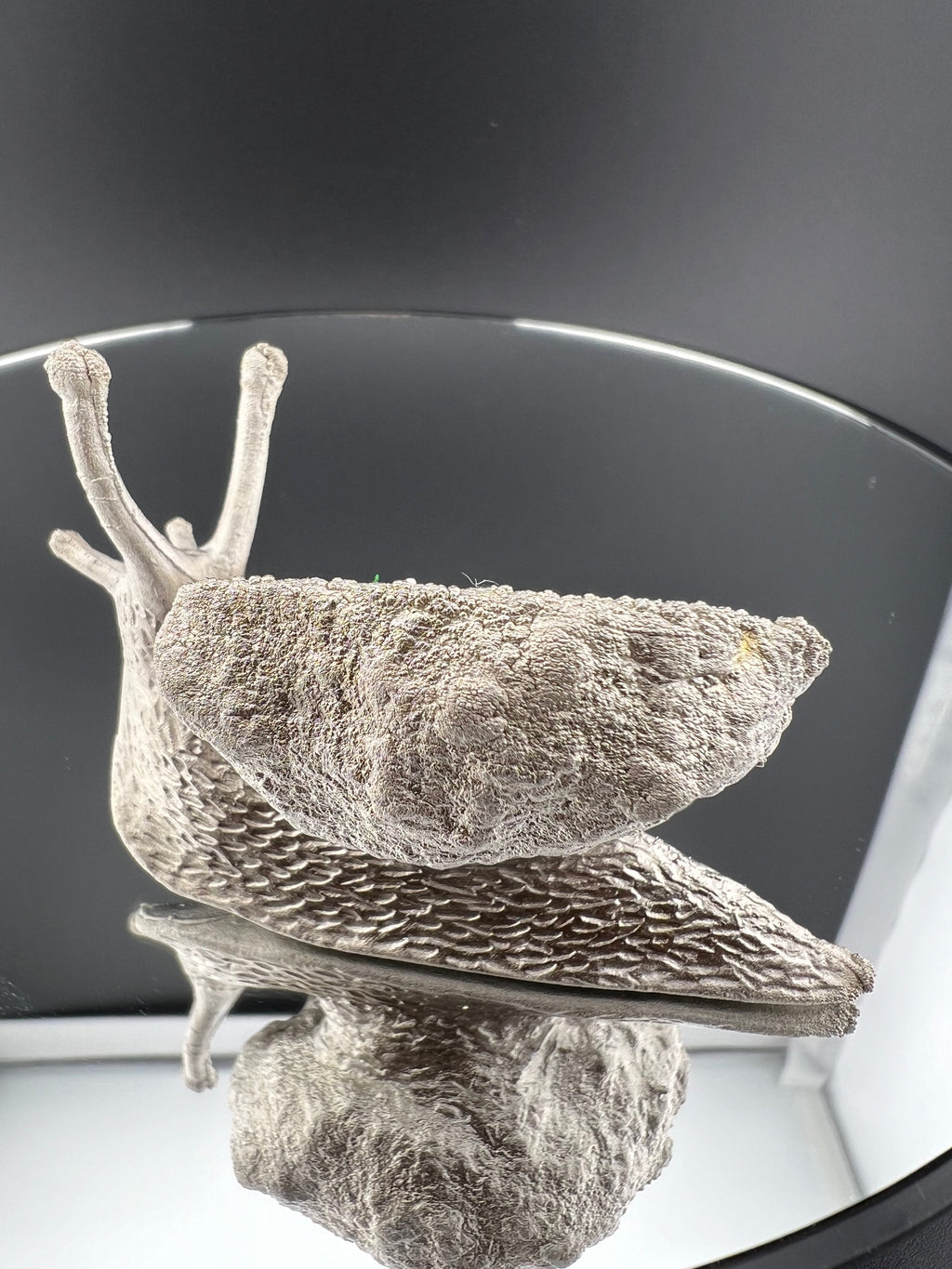 Snail With Shell As Silver Aura Geode Copper Electroformed Nickel Finished