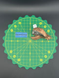 Snail XL With Cloud Oco Geode As Shell