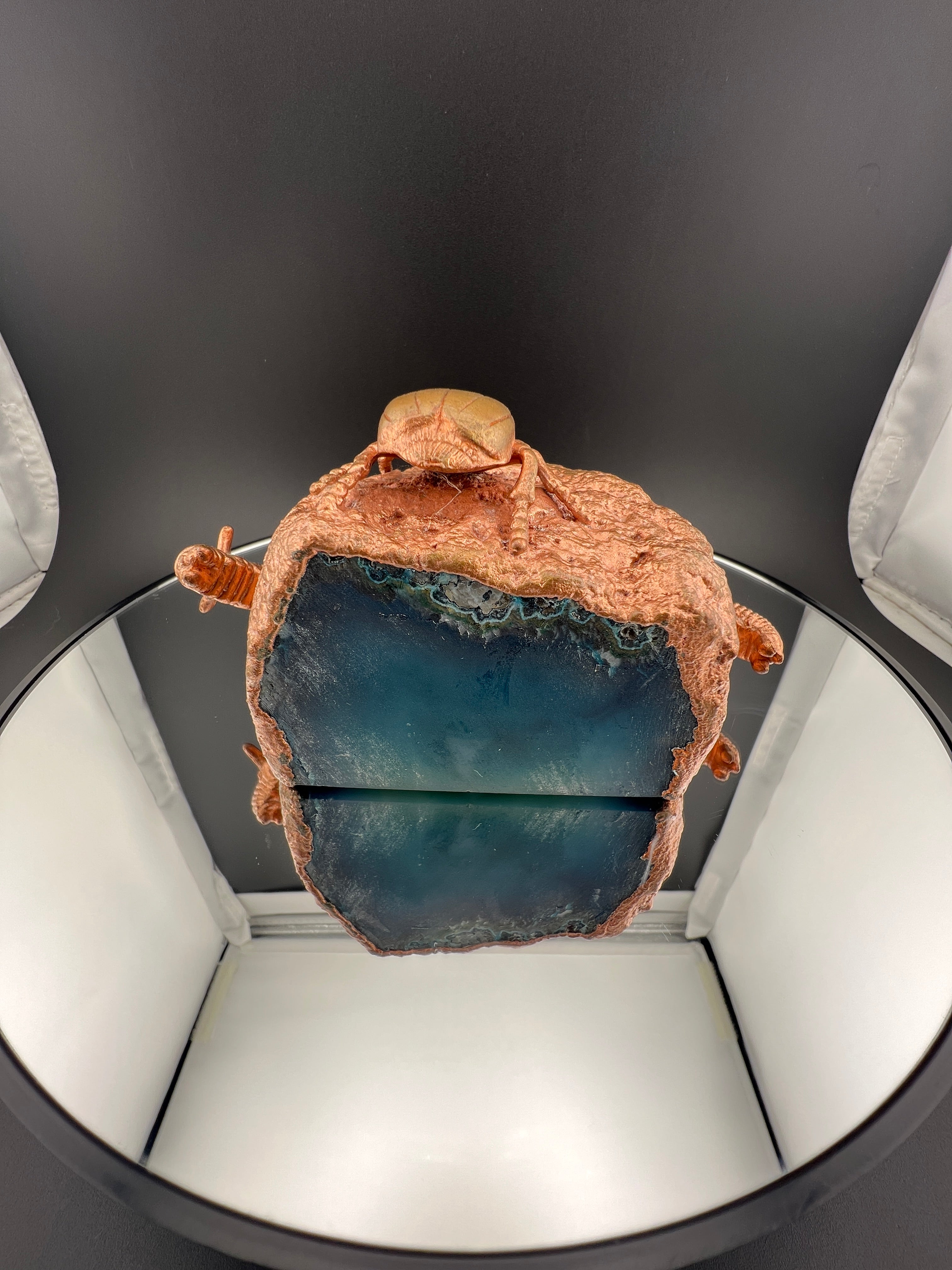 Caterpillars & Beetle On Blue Teal Agate Geode