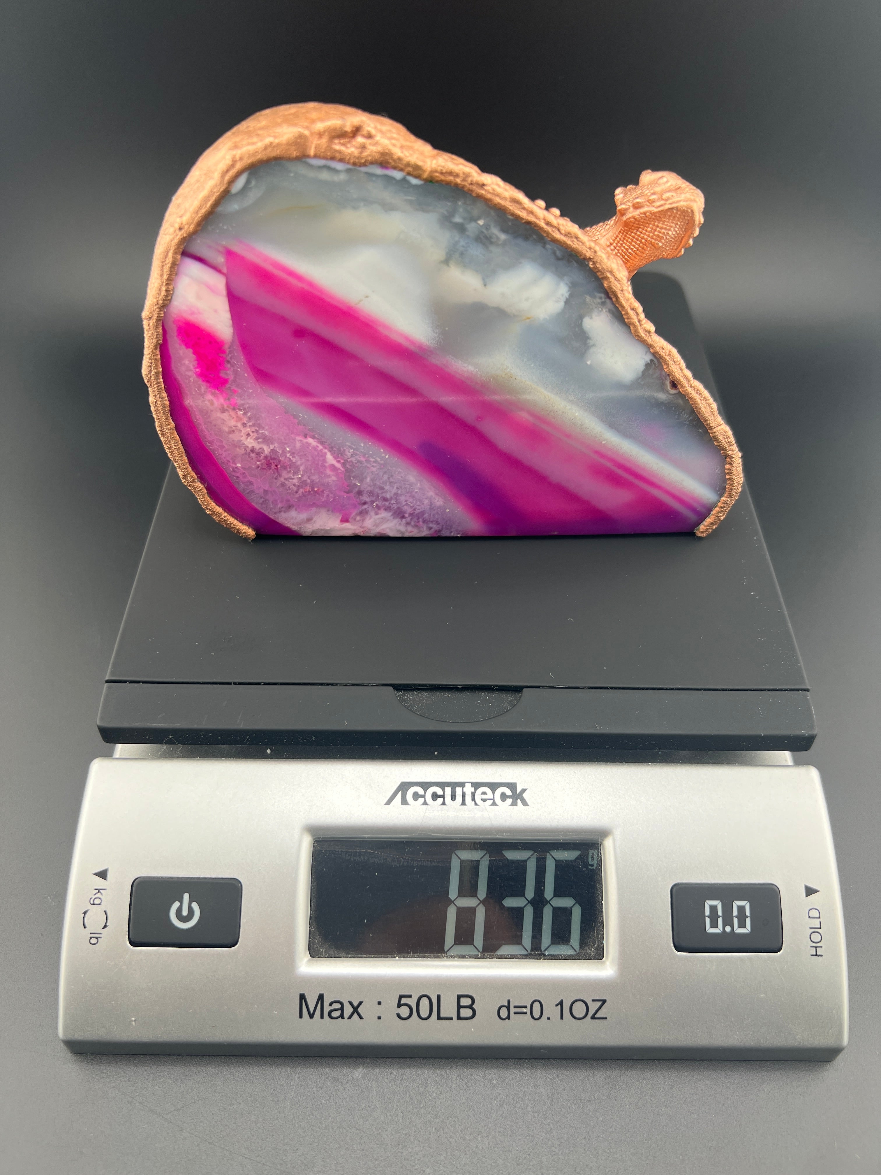 Lizard On Back of Pink Base Cute Agate (Discounted Small Damage)