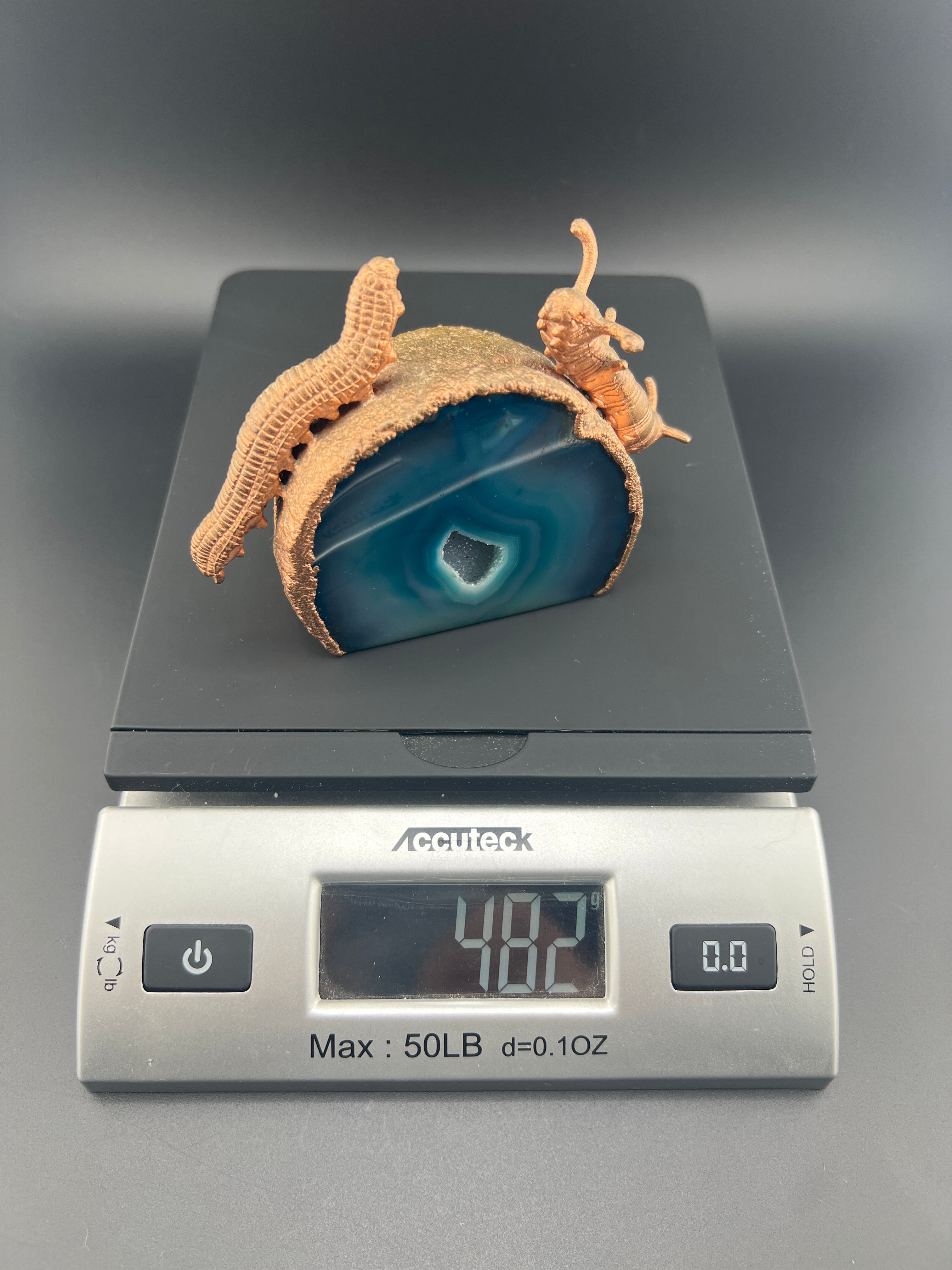 Caterpillars & Beetle On Blue Teal Agate Geode