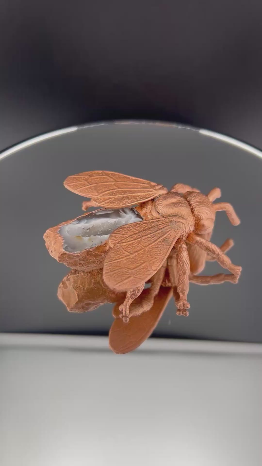 Honey Bee WIth Oco Geode