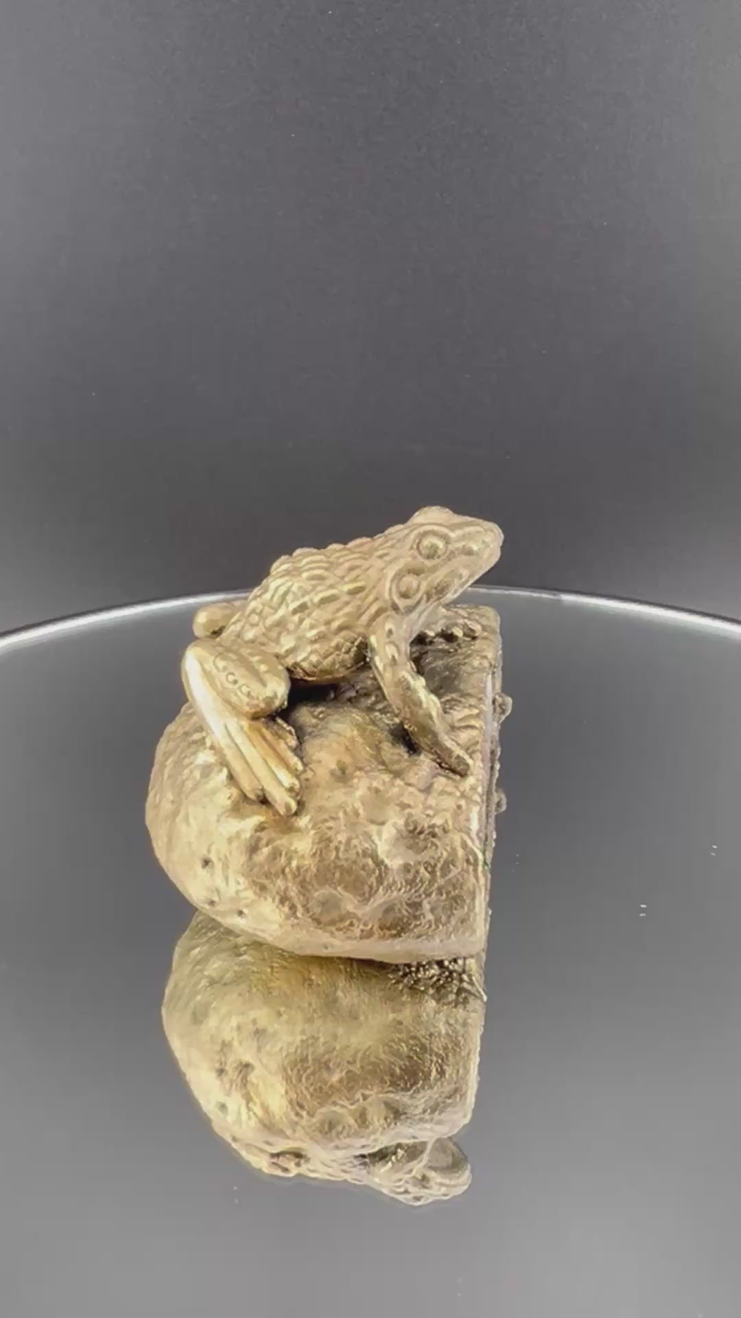 Super Hollow Oco Geode With Toad On Top Brass